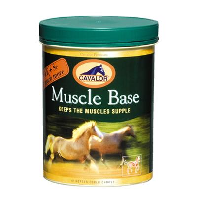 Muscle Base