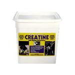 Pure Power Creatine 1kg