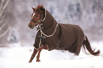 Cubrecuello Amigo P/ Turnout 1200D