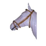Cabezada de montar Z-STAR