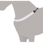 Pechopetral el�stico para el cuello