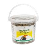 Biotina Vaillant