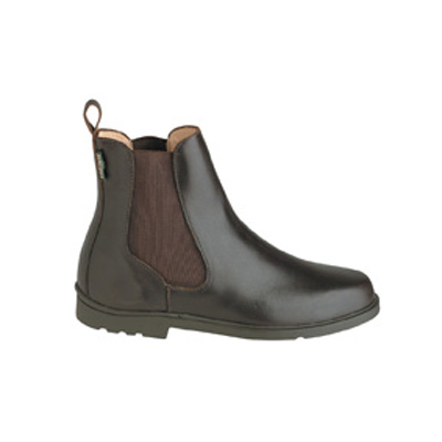 Botines Aigle de cuero Seville Mujer