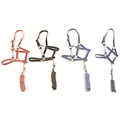 Cabezada nylon cuadra Amigo con ramal