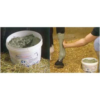 Arcitendon Crin blanca 4Kg