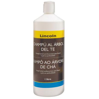 Champ� Lincoln al �rbol del T�