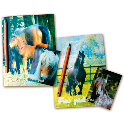 Lapicero multicolor y libretas