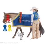B2020 - Winners Circle Accessory set