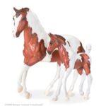 B62006 - Pinto horse and foal - Chestnut