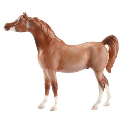 B618 - Red Roan Sabino Arabian