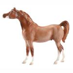 B618 - Red Roan Sabino Arabian
