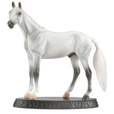 B902 - Best in show Thoroughbred
