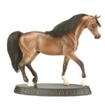 B901 - Best in show Arabian