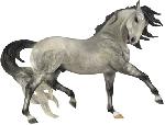 B9101 Epirit Figura oficial WEG Kentucky 2010