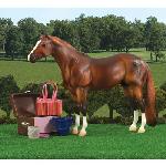 B1379 - Show grooming kit