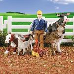 B5927 - Animales de la granja