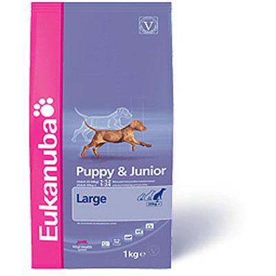 Pienso Eukanuba Puppy & Junior razas grandes 15kg
