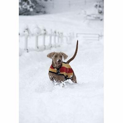 Manta Rambo polar newmarket