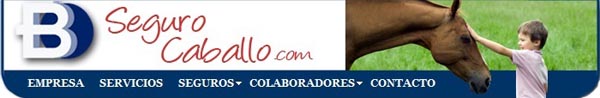 Seguro Caballo