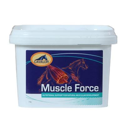 Muscle Force 900gr (Ex musclebuild)