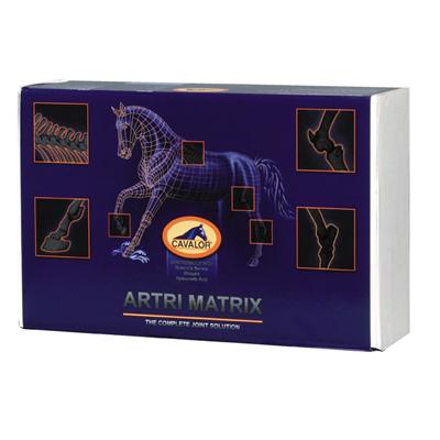 Artri Matrix 2000gr