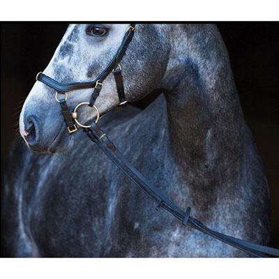 Riendas Rambo Micklem multibridle original