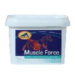Muscle Force 2kg (Ex musclebuild)