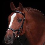 Cabezada Rambo Micklem Competition bridle
