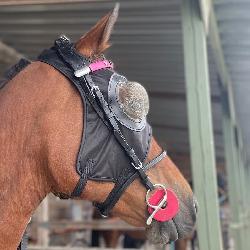 Mascara con protecci�n de ojos