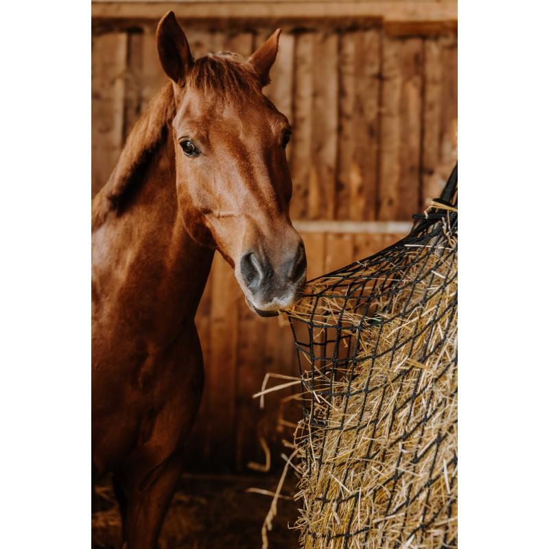 Red de heno rectangular pared