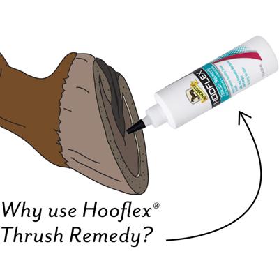 Hooflex thrush remedy 355ml