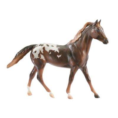 B611 - Chestnut Appaloosa