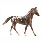 B611 - Chestnut Appaloosa