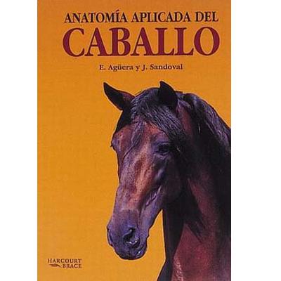 Anatomia aplicada al caballo