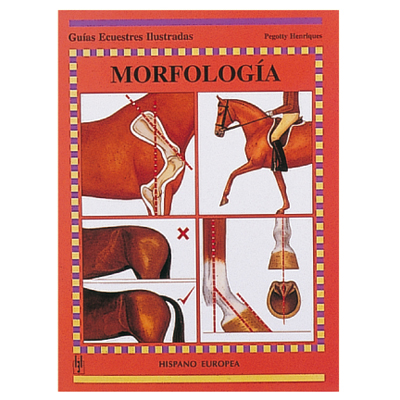 Morfologa