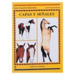 Capas y seales