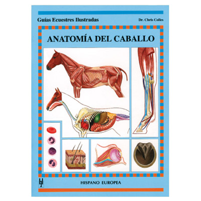 Anatomia del caballo