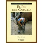 El pie del caballo