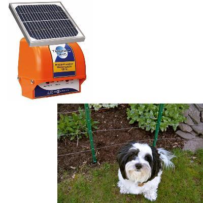 Pastor Triunfo R-10 Solar Garden Kit