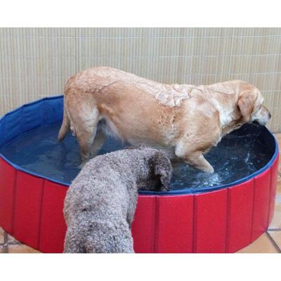 Piscina para perros 120x30 cm