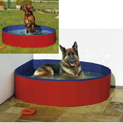 Piscina para perros 160x30 cm