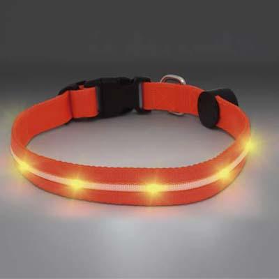 Collar led locator