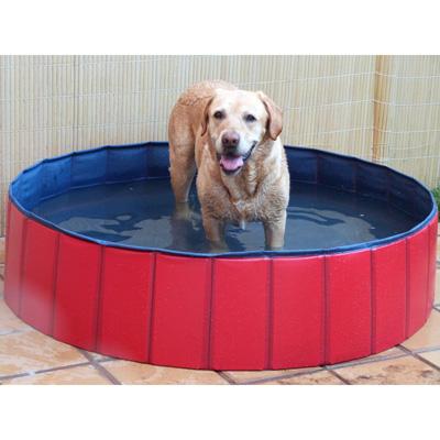 Piscina para perros 80x20 cm