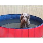 Piscina para perros 80x20 cm